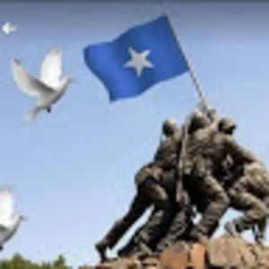 Meet your Posher, Ali